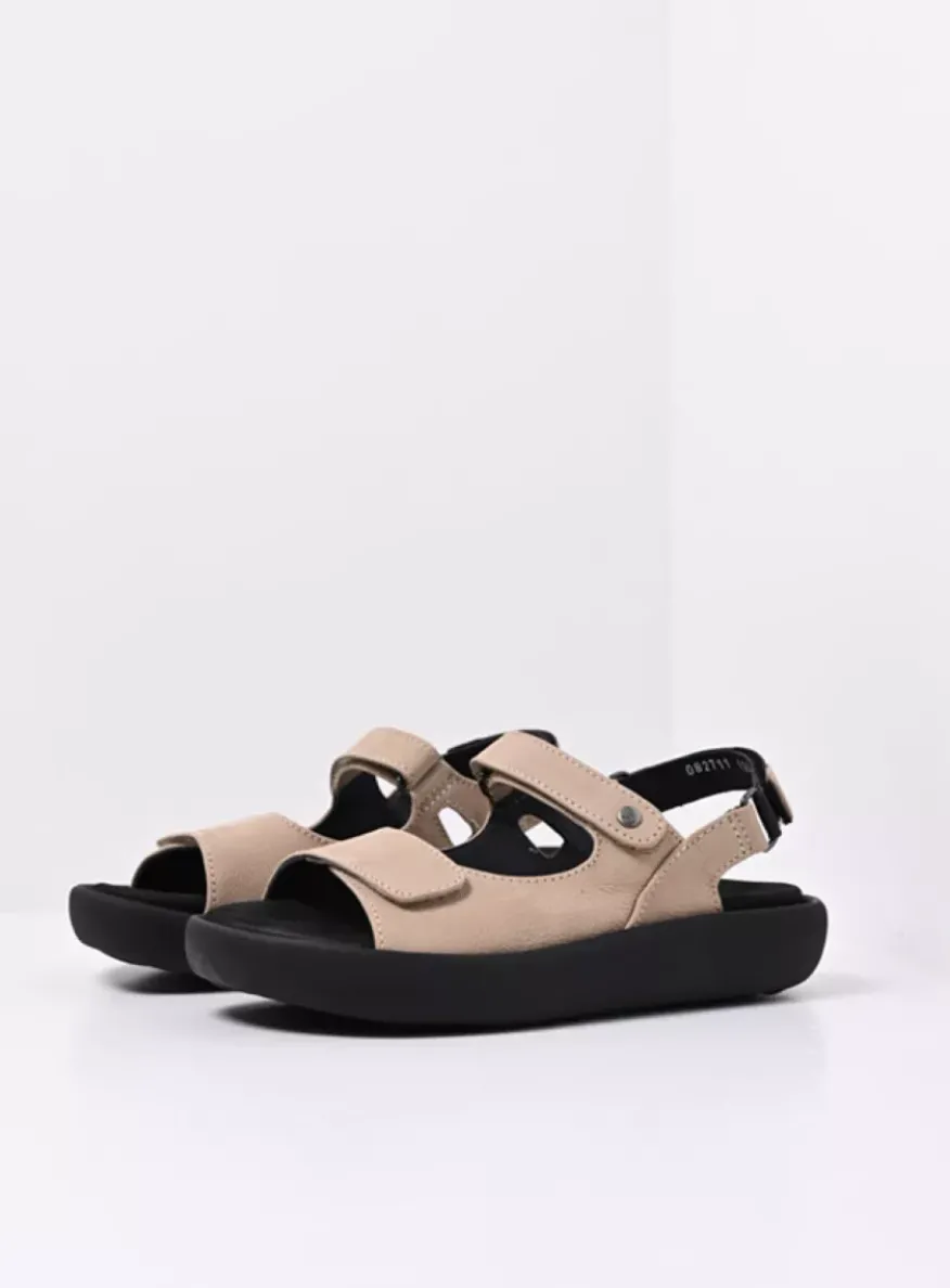 Celine XW - safari nubuck