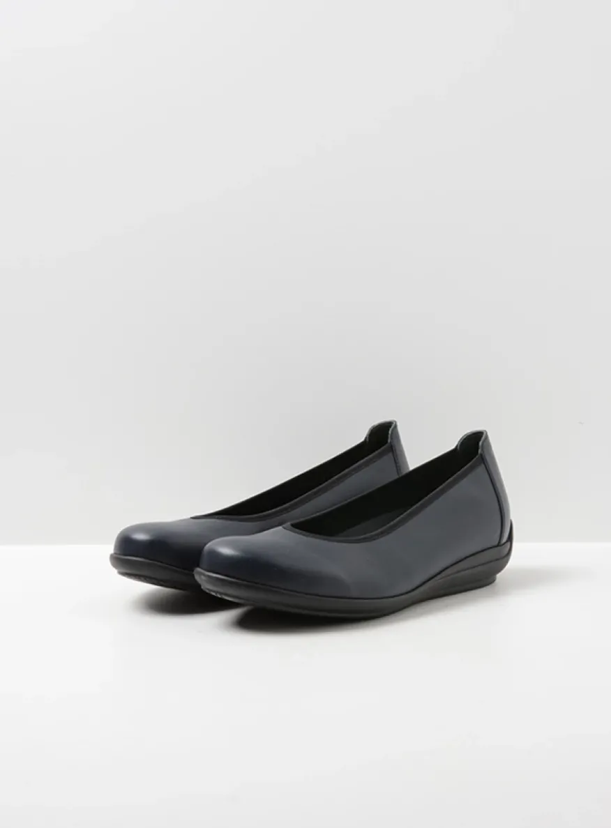 Duncan F2F - blauw biocare